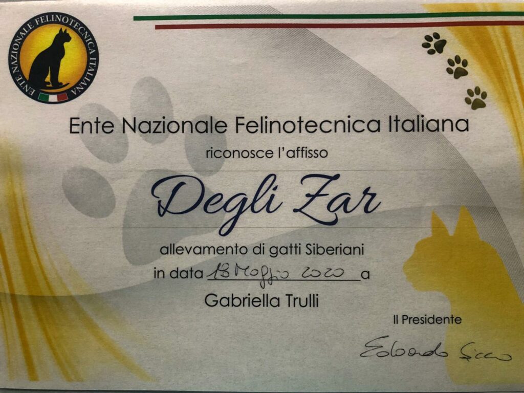 certificato enfi ufficiale degli zar riconosciuto enfi gabriella trulli